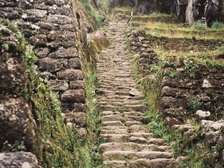 Raimund Heinreichsberger 222