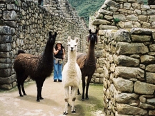 Raimund Heinreichsberger 230