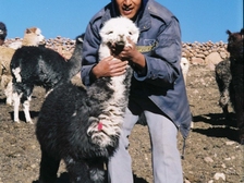 Raimund Heinreichsberger 46