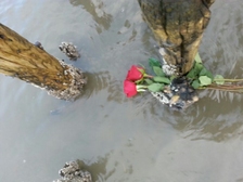 Rainer Blagotinschek 7