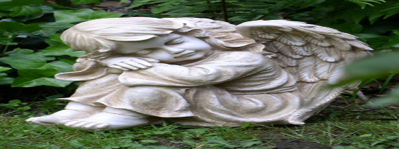 Gedenkseite für Ramon Büchner