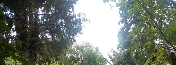 Stimmungsbild-Hannelore-Reichart-1