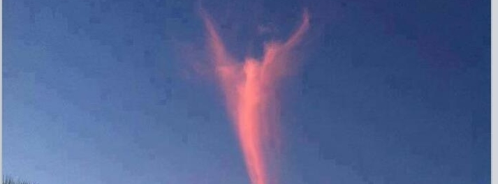 Stimmungsbild-Rene-Hamester-1