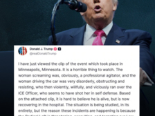 Renee Nicole Good 26