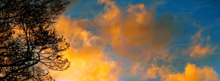 Stimmungsbild-Rita-Korff-2