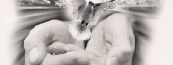 Stimmungsbild-Robert-Stepanek-8