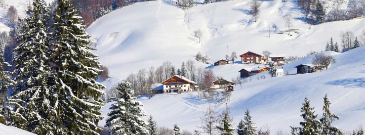 Stimmungsbild-Rolf-Hanschke-3