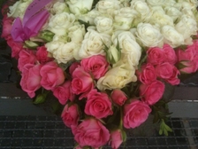 Ronja Juwela Perret 9