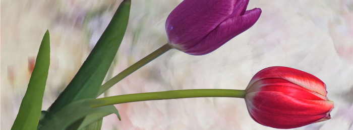 Stimmungsbild-Ronny-Krell-889