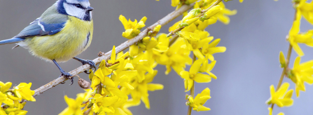 Stimmungsbild-Ronny-Krell-900