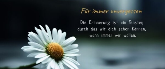 Stimmungsbild-Ronny-Krell-962