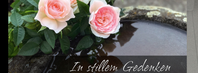 Stimmungsbild-Ronny-Krell-969