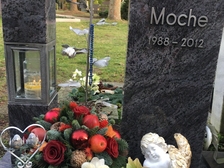 Ronny Moche 1020
