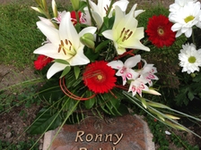 Ronny Reich 13