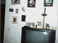 Rosa Pototschnik 9