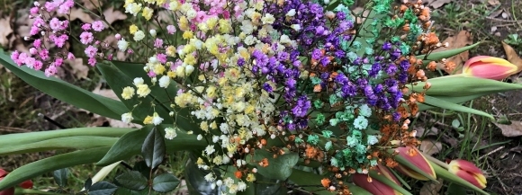 Stimmungsbild-Rosemarie-Bilek-1