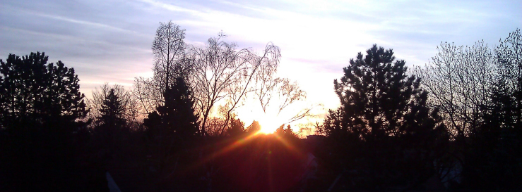 Stimmungsbild-Salih-Sanli-1