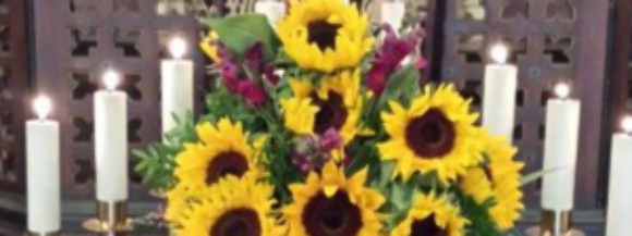 Stimmungsbild-Sandra-Hamann-5