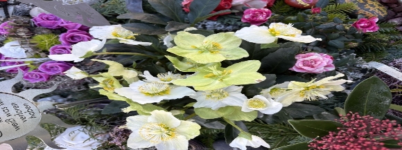 Stimmungsbild-Sandy-Wiegand-70