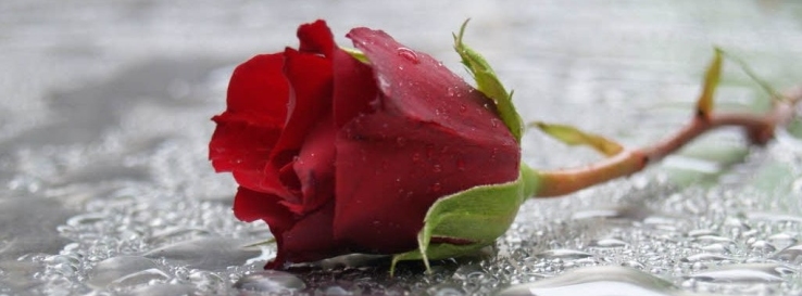 Stimmungsbild-Sarah-Bojer-158