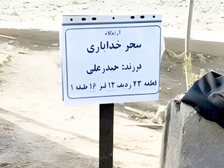 Sarina Esmailzadeh 143