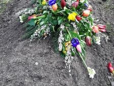 Siegfried Hebert 12