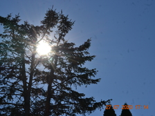 Siegfried Ernst Prill 2