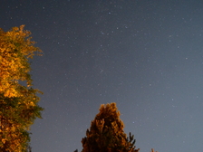 Siegfried Ernst Prill 3