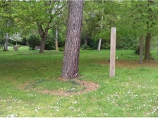 Sieglinde Ute Krause 2