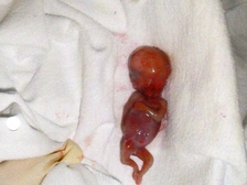 Sophie Marie und Kimberly Pomp 1