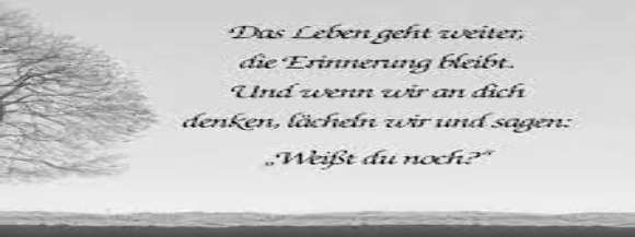 Stimmungsbild-Stefan-Breit-2