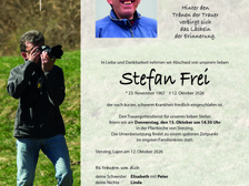 Stefan Frei 1