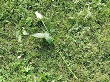 Stefan Preugschat 14