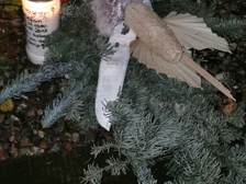 Stefan Preugschat 17