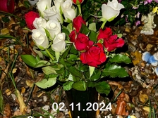 Stefan Preugschat 21