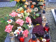 Stefania Jaskolska 7