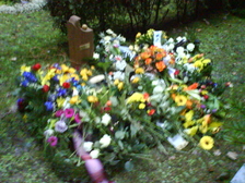 Steve Möschwitzer 6