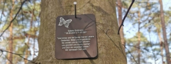 Stimmungsbild-Suleika-Großmann-1