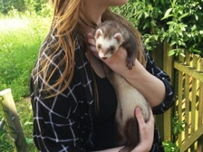 Suleika Großmann 10