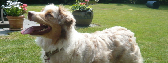 Stimmungsbild-Susanne-Dederichs-1