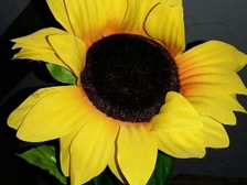 Svend Leimkühler 55