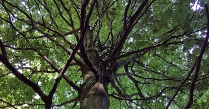 Stimmungsbild-Sylvia-Taubert-2