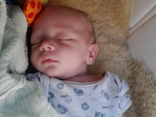 Tayler Joel Eckstein 1