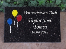 Taylor Joel Tomsa 6