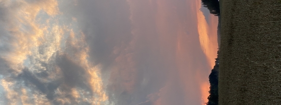 Stimmungsbild-Thomas-Schmidt-2