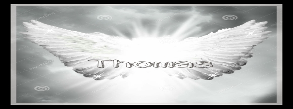 Stimmungsbild-Thomas-Tanneberger-1