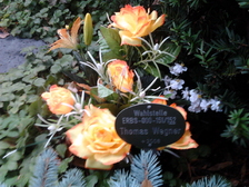 Thomas Wegner 4