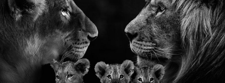 Stimmungsbild-Thore-Schweikart-8