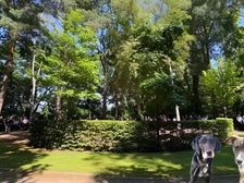 Trier Opfer 42
