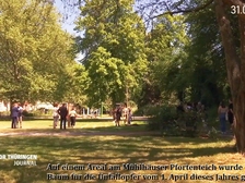 Unfall B247 Bad Langensalza 109